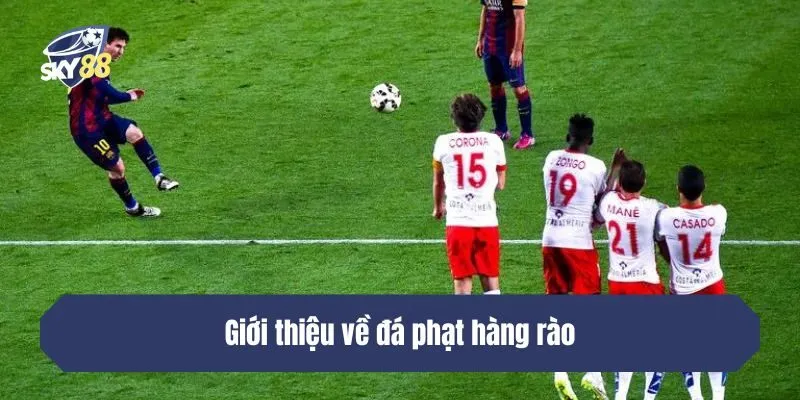 Giới thiệu về đá phạt hàng rào