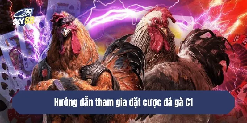 Hướng dẫn tham gia đặt cược đá gà C1 tại sân chơi Sky88