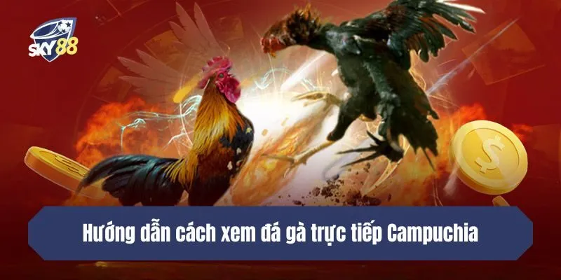 Kinh nghiệm đặt cược đá gà hiệu quả tại SKY88