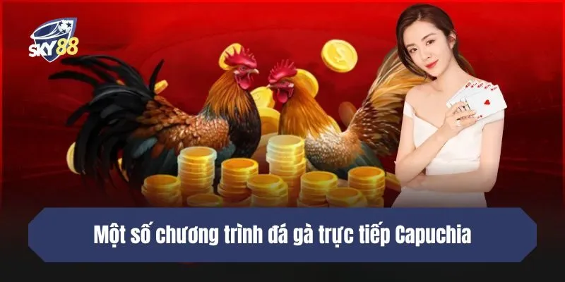 Một số chương trình đá gà trực tiếp Capuchia được phát trên SKY88