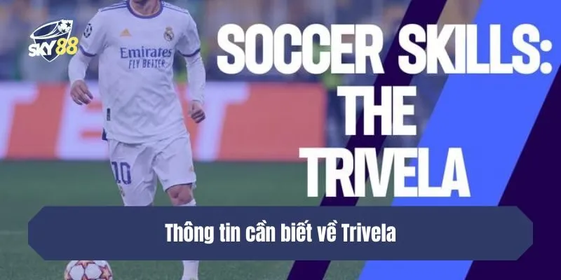 Thông tin cần biết về Trivela