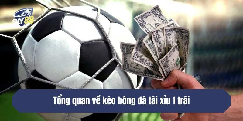 Tổng quan về kèo bóng đá tài xỉu 1 trái